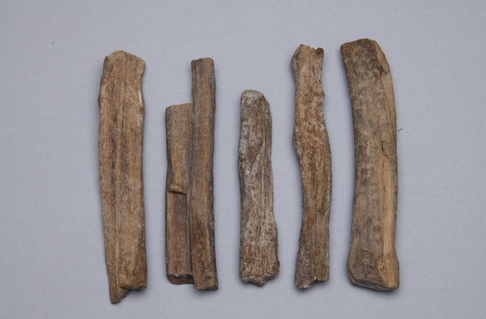 “泉州一号”上发现的香药