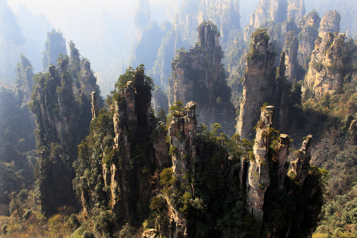 张家界国家森林公园（图片来源：CFP）