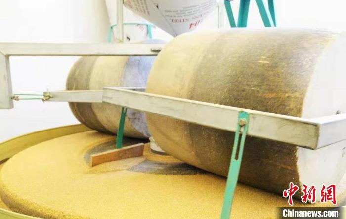 截至目前，石楼县已建成21个有机农业生产基地。　许文悦 摄