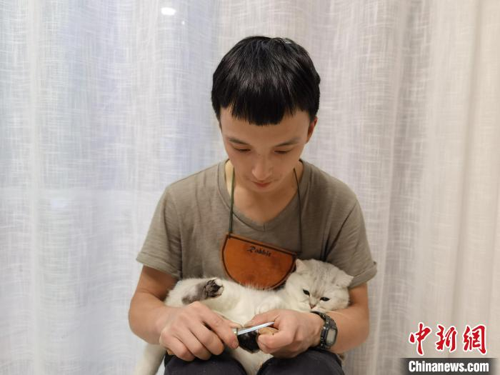 图为沈辉与家里的猫一起进行手工制作。　周燕玲 摄