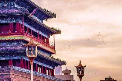 翱翔在正阳门城楼周围的北京雨燕 杨华摄/光明图片