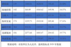 8家房企霸屏世界500强：总市值不及一个宁德时代