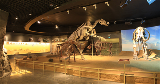 黑龙江流域博物馆。