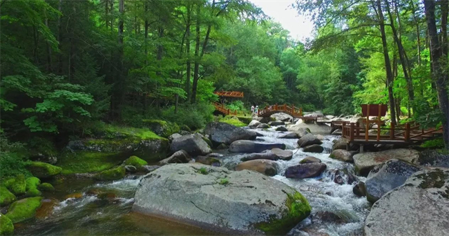 太平沟原始林景区。