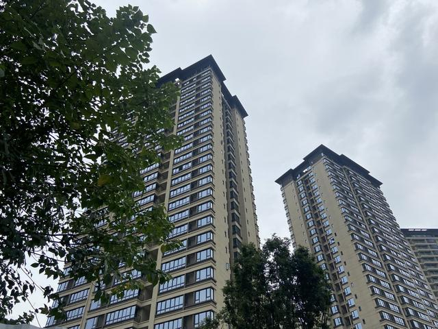 已经建好的“嘉阅滨江”小区。澎湃新闻记者王鑫图