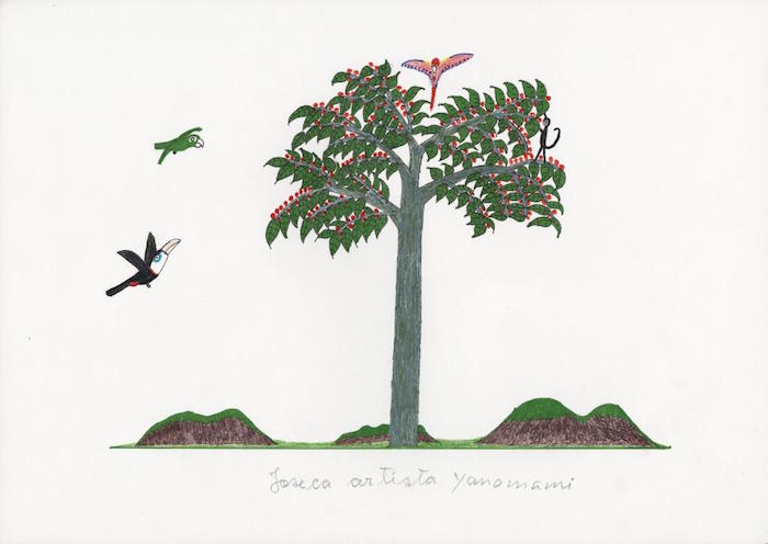 亚诺玛米人作品之一，“树，树”