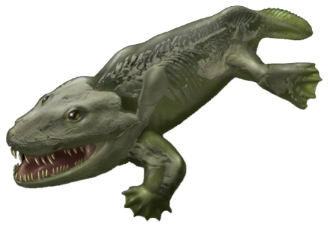 格陵兰发现的距今3.65亿年前的鱼石螈复原图