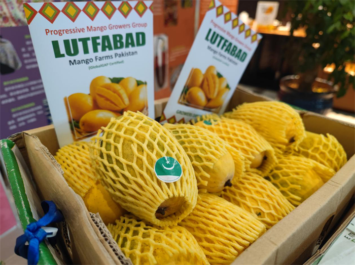 巴基斯坦芒果（央广网记者 韩晓余 摄）