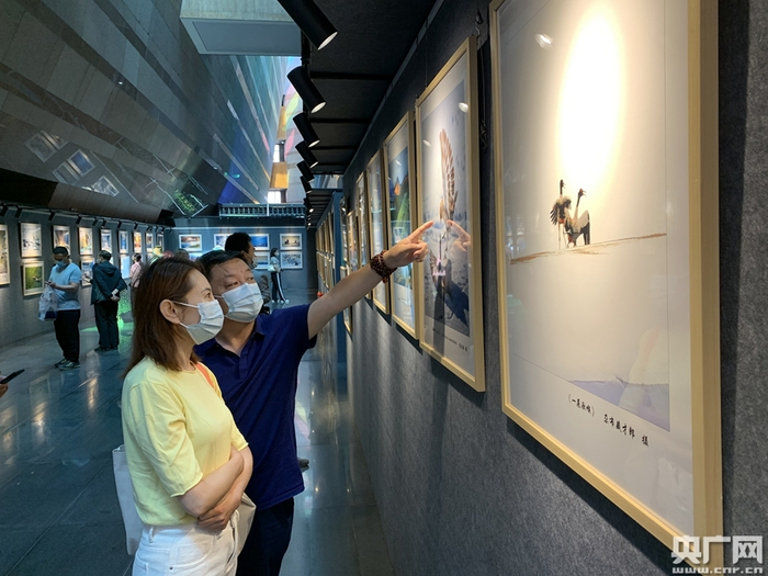 精彩的摄影作品吸引了市民驻足欣赏（央广网发 汪晓青 摄）