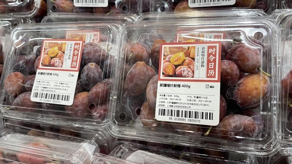 图说：喀什新梅