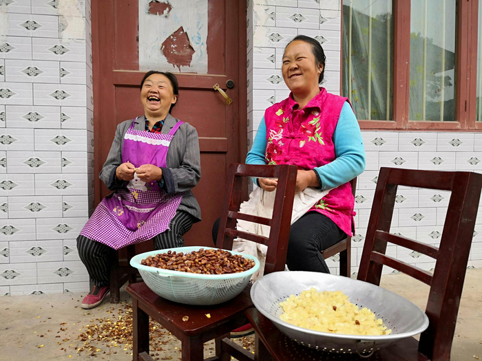 群众在剥皂角籽