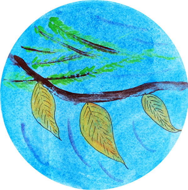 立秋的第一个五天，刮风时人们会感觉到凉爽，此时的风已不同于暑天中的热风。