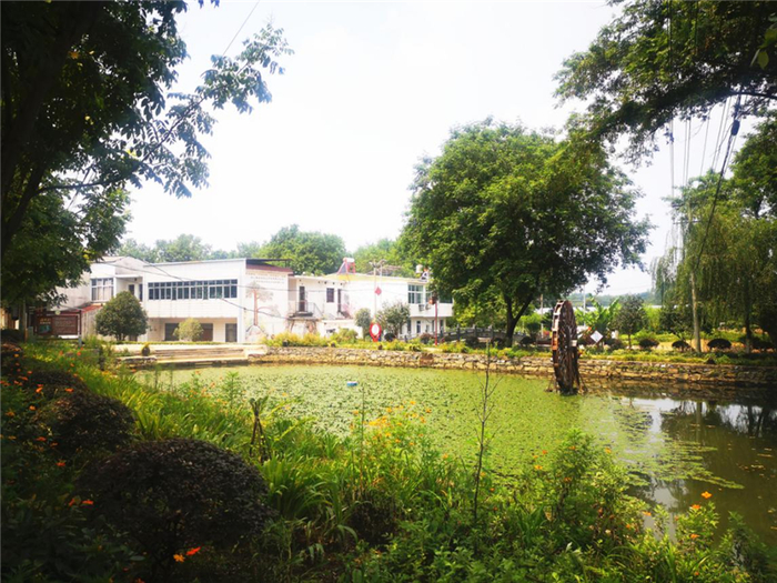 美丽汪桥（央广网发 徐秋韵摄）