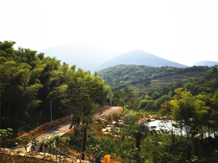 大岭村（央广网发 徐秋韵摄）