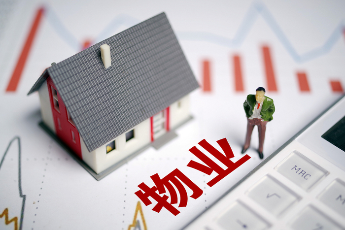 （图片来源：CFP）