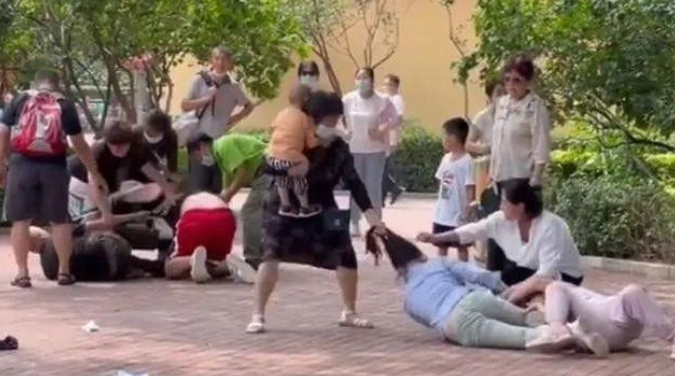 视频截图