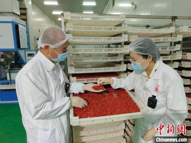中卫海关工作人员对出口枸杞生产企业开展核查。 项忠 摄