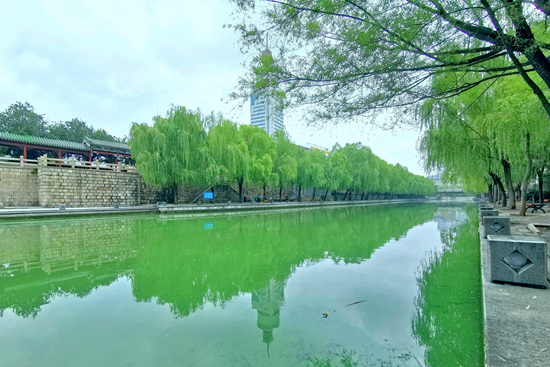     济宁市内的古运河 陈鼎/摄