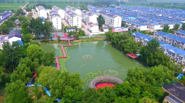 碧根果种植条件视频