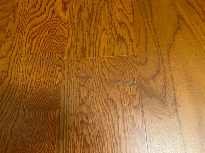 屋内木地板划痕（图片由程女士提供）