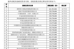 中国电信A股IPO：华为、国家大基金等20家获战略配售