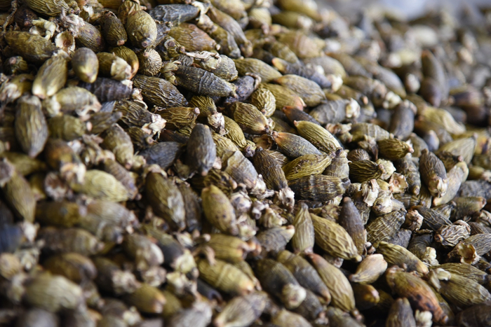 （图片来源：CFP）