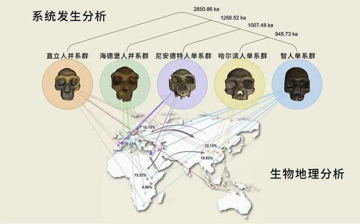人类发源地确定了?科学家:“摇篮”地位已被正式确立
