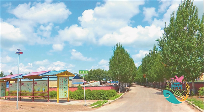 泰来县大兴镇新风村。