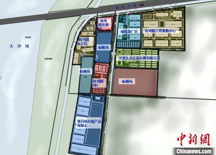 食用菌产业园功能分区规划图。　鹿楼镇政府供图