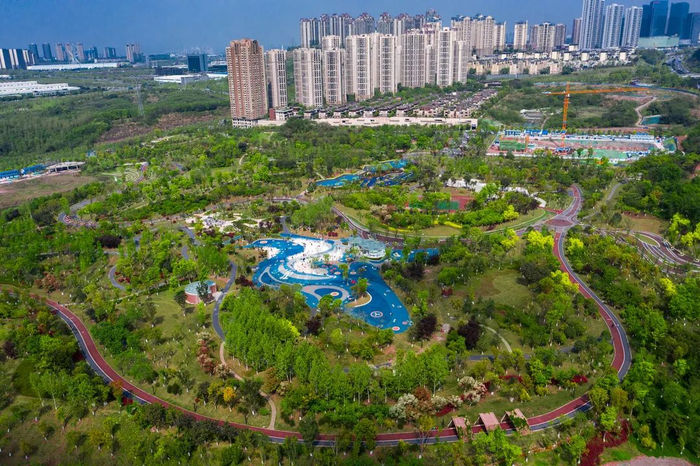 金州公园  张坤琨 摄
