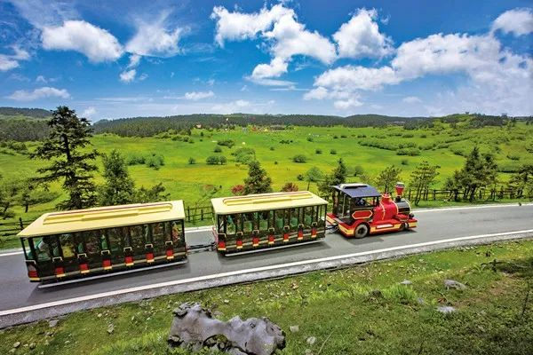 武隆仙女山  武隆区委宣传部供图（资料图）