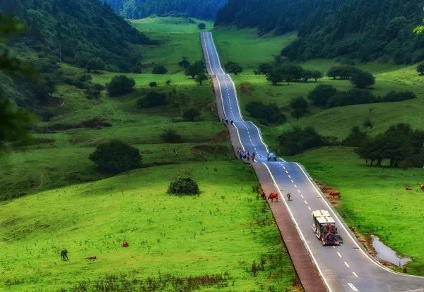 仙女山最美公路  王俊杰 摄（资料图）