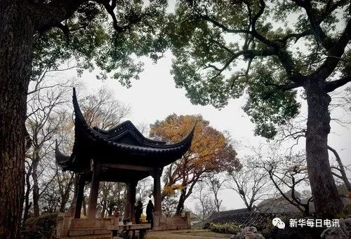 江苏沧浪亭。新华社记者王颂摄