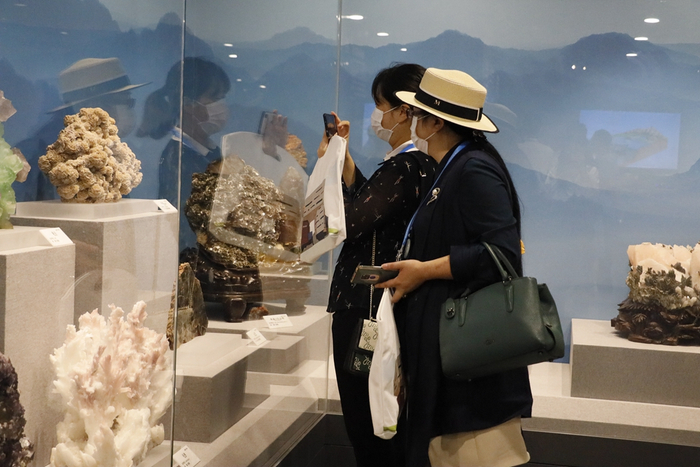 市民参观贵州省地质博物馆。（央广网发 张翼晶 摄）