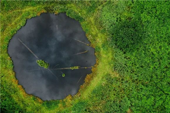 葱坪湿地 巫山县委宣传部供图