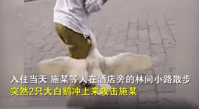 新闻截图