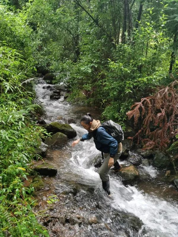 雨季进入长臂猿栖息地要过河。“云山保护”供图