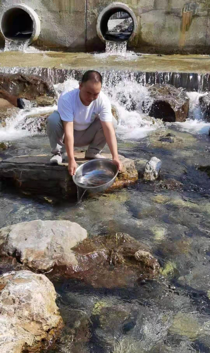 杨元林放生娃娃鱼 当事人供图