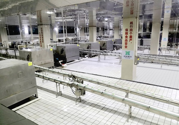 图说：数字化豆腐车间