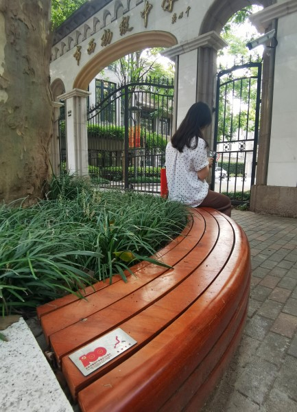 图说：市西初级中学外的花坛改建后可供市民坐下休息