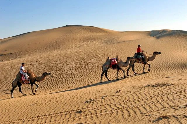 ▲我国的沙漠化土地主要分布在北方干旱、半干旱和部分半湿润地区。摄影/章轲