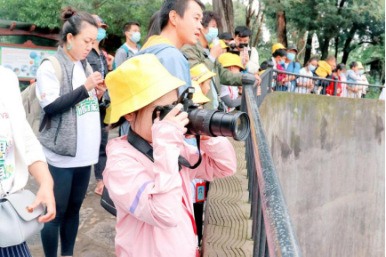 “小主播”进行动物拍摄