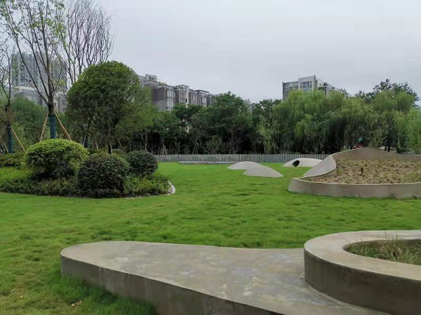 新洋经济区某口袋公园（央广网发 顾成刚摄）