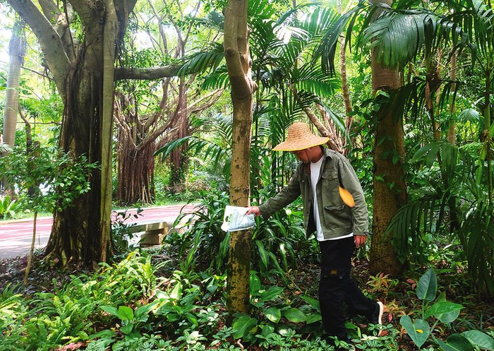 南湖公园绿化养护工人正在对非洲大蜗牛开展消杀预防工作　　本报记者程勇可摄