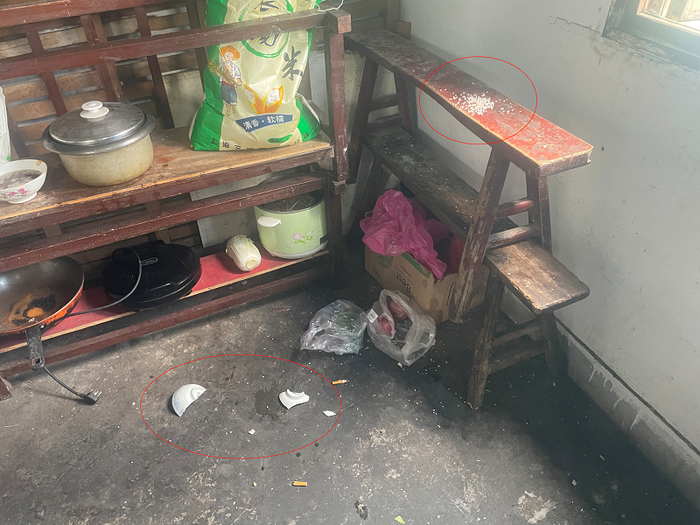 猴子在金山白漾村一户人家“捣乱”。屠瑜 摄