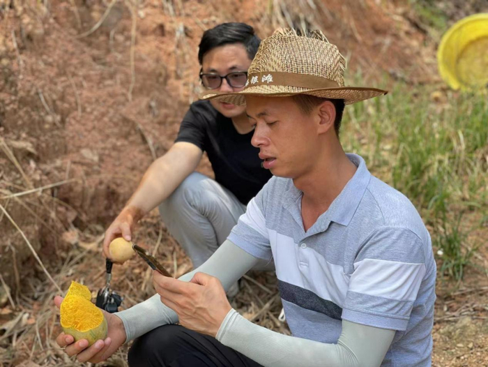 黄庆师（前）和郑鹏飞（后）从供需关系转变成了合伙人关系，各司其职，配合卖果  何淞荧  摄