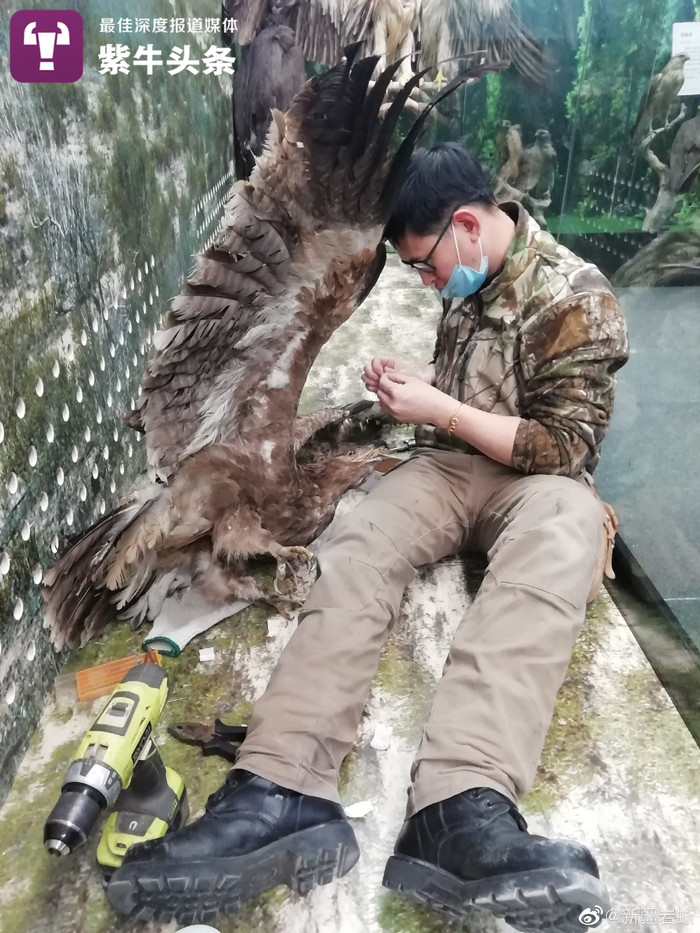 蒋可威在制作标本