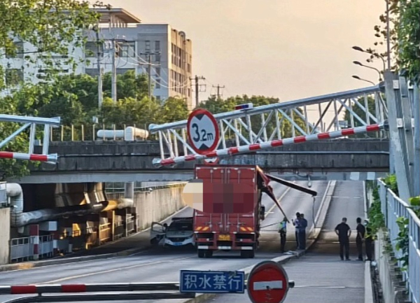网友供图