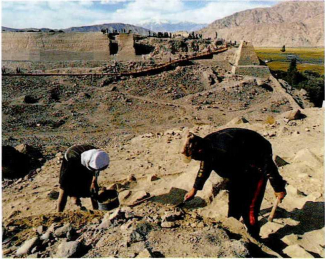 图三发掘东子城