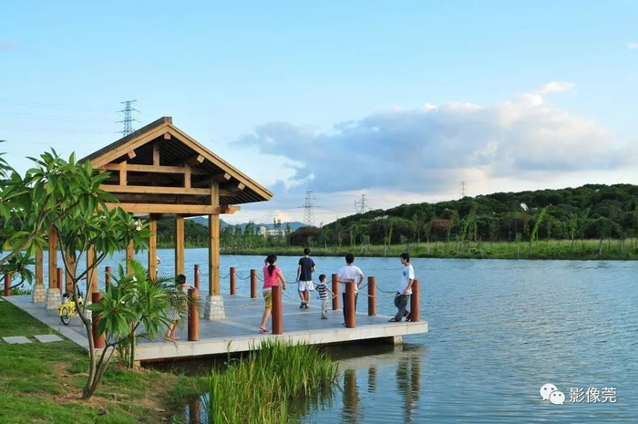        ▲荔香湿地公园   @大朗宣供图